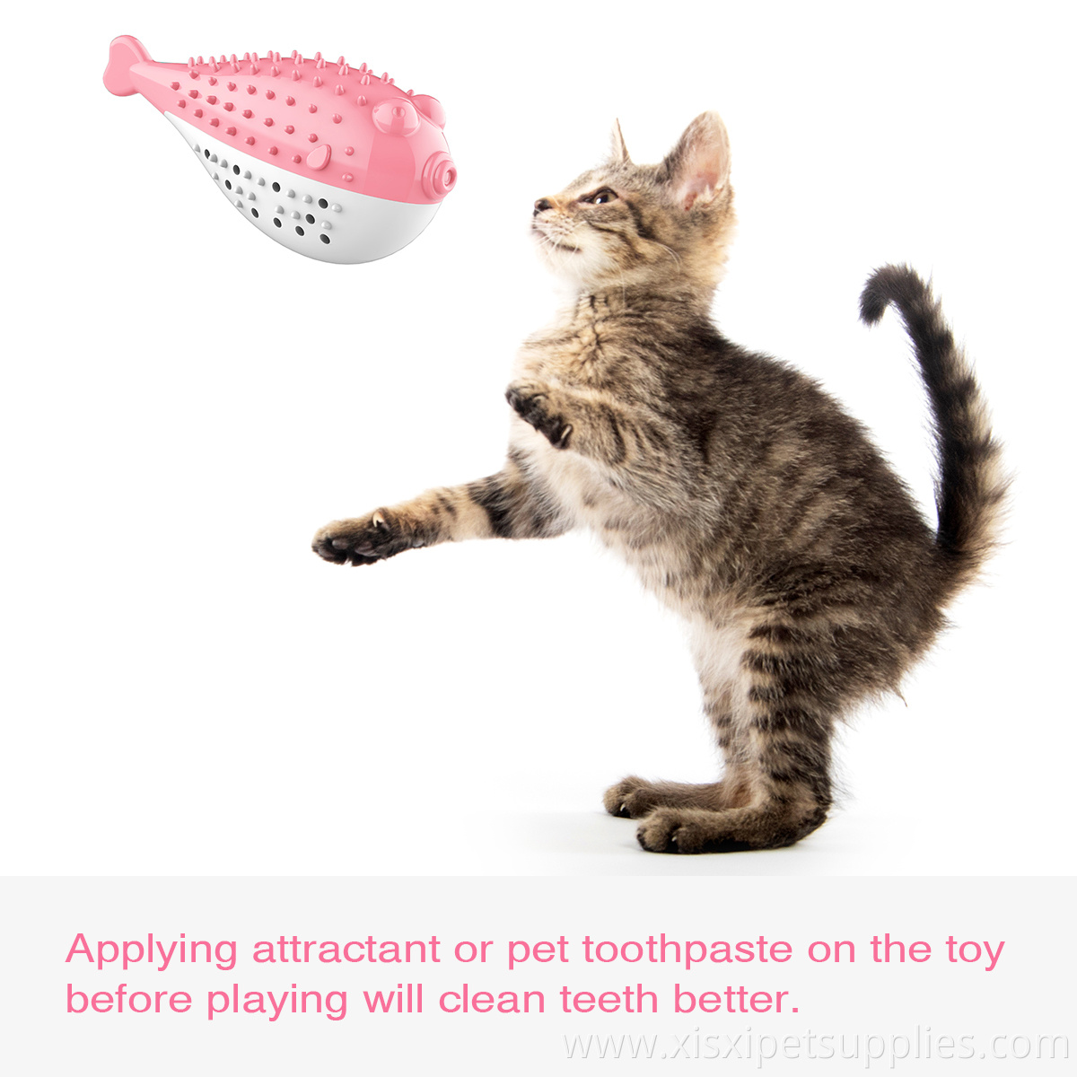 Natural Rubber Interactive Pet Toys Dog Cat Toothbrush Toy